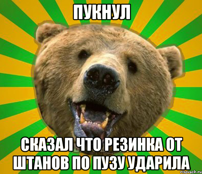 пукнул сказал что резинка от штанов по пузу ударила, Мем Нелепый медведь