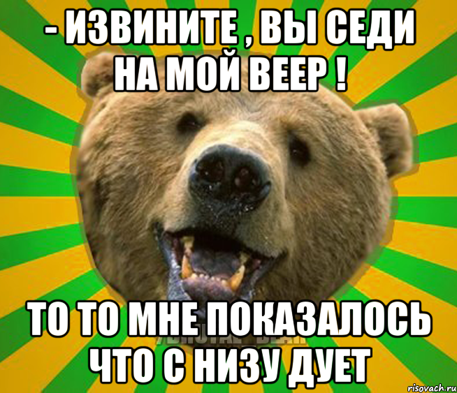 - Извините , вы седи на мой веер ! То то мне показалось что с низу дует, Мем Нелепый медведь