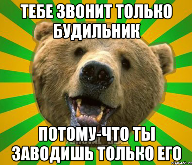 тебе звонит только будильник потому-что ты заводишь только его, Мем Нелепый медведь