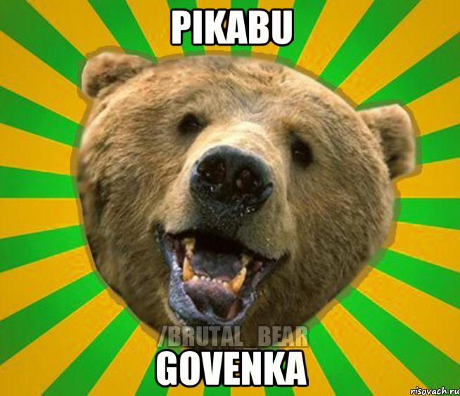 Pikabu Govenka, Мем Нелепый медведь