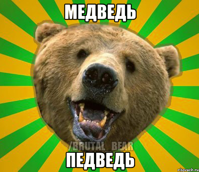 медведь педведь, Мем Нелепый медведь