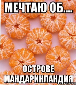 мечтаю об.... острове Мандаринландия, Мем  НОВОГОДНИЕ СЕМКИ