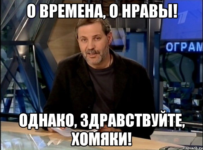 О времена, о нравы! Однако, здравствуйте, ХОМЯКИ!, Мем Однако Здравствуйте