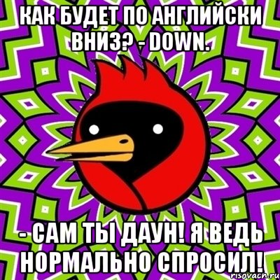 Нормально спрашиваю. Сам ты даун. Птица Радуга ты даун. Как будет по детски птица.