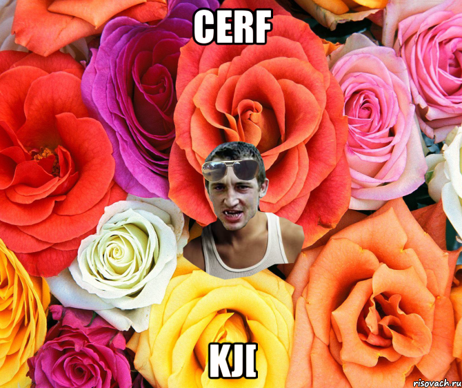 Cerf kj[, Мем  пацанчо