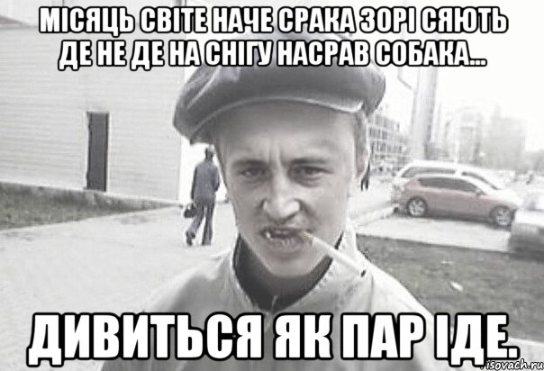 Місяць світе наче срака Зорі сяють де не де На снігу насрав собака... Дивиться як пар іде., Мем Пацанська философия