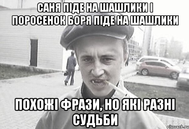 Саня піде на шашлики і поросенок Боря піде на шашлики похожі фрази, но які разні судьби, Мем Пацанська философия