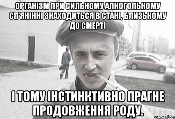 Організм при сильному алкогольному сп’янінні знаходиться в стані, близькому до смерті і тому інстинктивно прагне продовження роду., Мем Пацанська философия