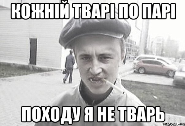 КОЖНІЙ ТВАРІ ПО ПАРІ ПОХОДУ Я НЕ ТВАРЬ, Мем Пацанська философия