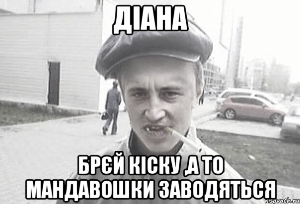 діана брєй кіску ,а то мандавошки заводяться, Мем Пацанська философия