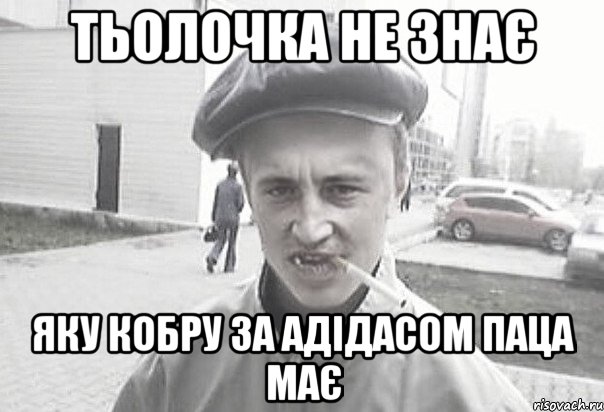 Тьолочка не знає яку кобру за адідасом паца має, Мем Пацанська философия