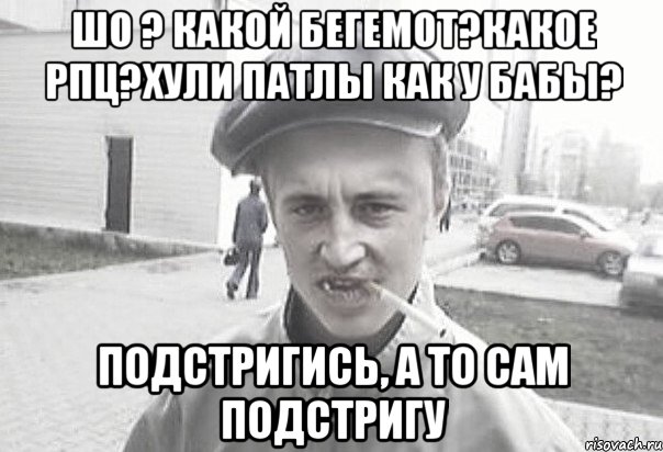 ШО ? какой бегемот?какое рпц?хули патлы как у бабы? подстригись, а то сам подстригу, Мем Пацанська философия