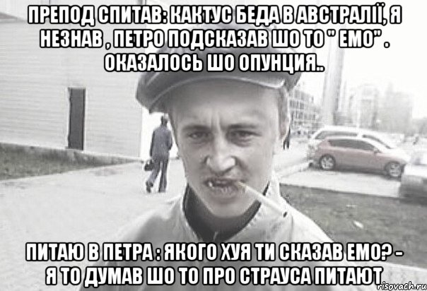 Препод спитав: кактус беда в австралії, я незнав , Петро подсказав шо то " Емо" . Оказалось шо опунция.. Питаю в Петра : якого хуя ти сказав емо? - Я то думав шо то про страуса питают, Мем Пацанська философия