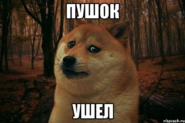 Пушок Ушел, Мем SAD DOGE