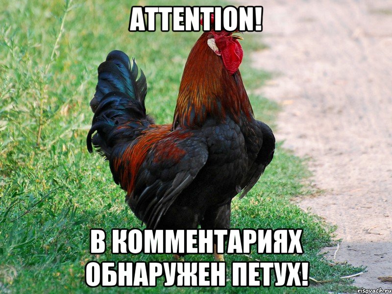 Attention! В комментариях обнаружен петух!, Мем петух