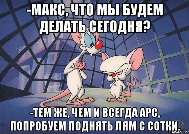 -Макс, что мы будем делать сегодня? -Тем же, чем и всегда Арс, попробуем поднять лям с сотки., Мем ПИНКИ И БРЕЙН