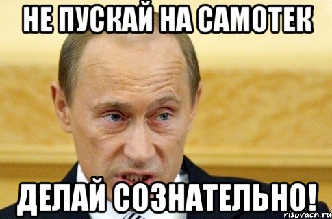 не пускай на самотек делай сознательно!, Мем путин