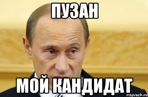 пузан мой кандидат, Мем путин