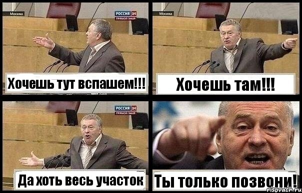 Хочешь тут вспашем!!! Хочешь там!!! Да хоть весь участок Ты только позвони!, Комикс с Жириновским