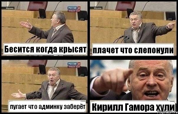 Бесится когда крысят плачет что слепонули пугает что админку заберёт Кирилл Гамора хули, Комикс с Жириновским