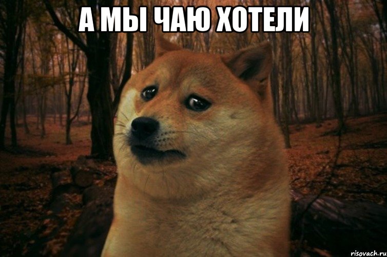 А мы чаю хотели , Мем SAD DOGE