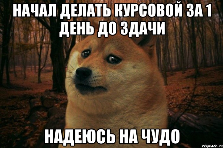 Начал делать курсовой за 1 день до здачи надеюсь на чудо, Мем SAD DOGE