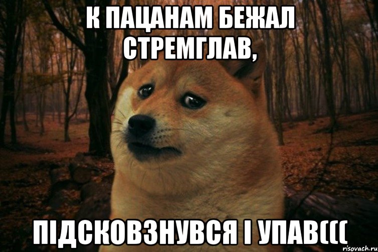 К ПАЦАНАМ БЕЖАЛ СТРЕМГЛАВ, ПІДСКОВЗНУВСЯ І УПАВ(((, Мем SAD DOGE