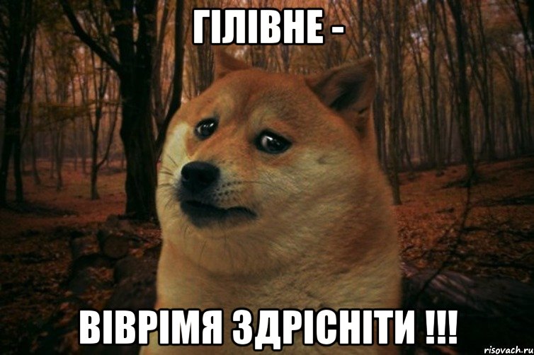 ГІЛІВНЕ - ВІВРІМЯ ЗДРІСНІТИ !!!, Мем SAD DOGE