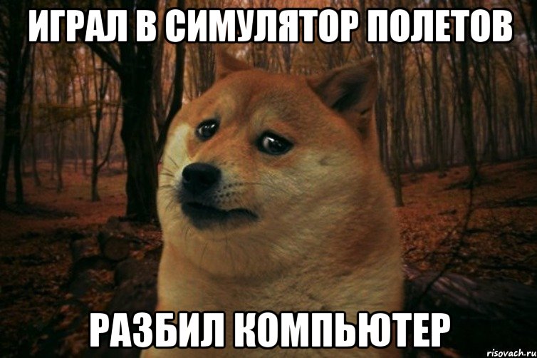 играл в симулятор полетов разбил компьютер, Мем SAD DOGE