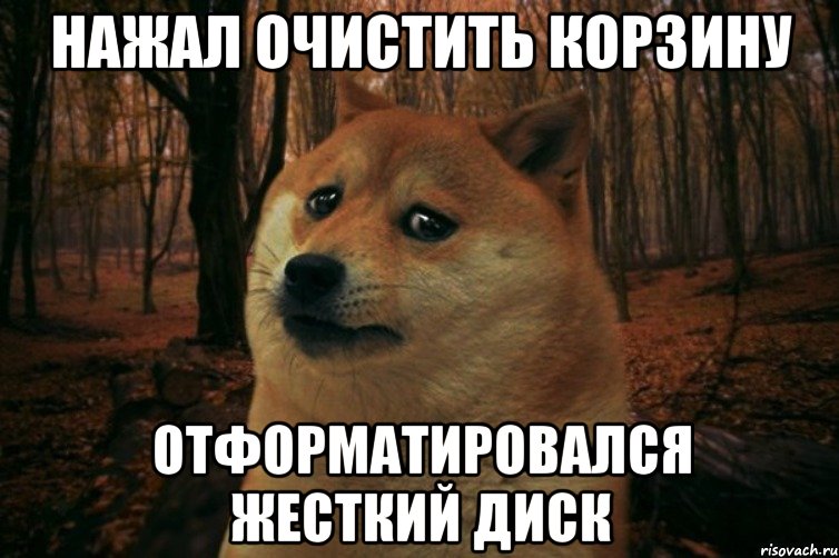 нажал очистить корзину отформатировался жесткий диск, Мем SAD DOGE