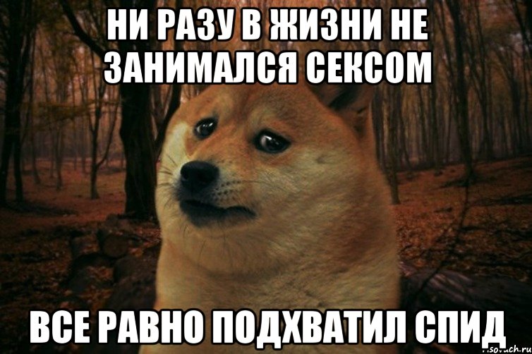 ни разу в жизни не занимался сексом все равно подхватил спид, Мем SAD DOGE