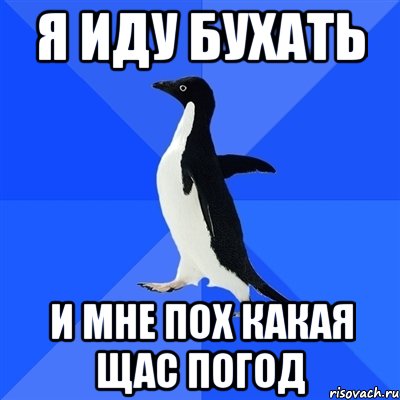 Я люблю бухать песня. Я иду бухать. Мне по х. Я люблю бухать. Криго Пингвин Мем.