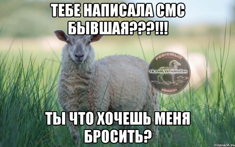 тебе написала смс бывшая???!!! ты что хочешь меня бросить?, Мем  Создать мем Ревнивая Овечка 1