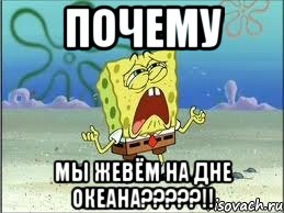 Почему мы жевём на дне океана?????!!, Мем Спанч Боб плачет