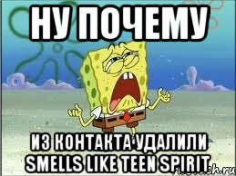 ну почему из контакта удалили Smells Like Teen Spirit, Мем Спанч Боб плачет