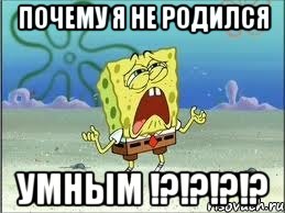 Почему я не родился Умным !?!?!?!?, Мем Спанч Боб плачет