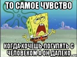 то самое чувство когда хочешь погулять с человеком а он далеко, Мем Спанч Боб плачет