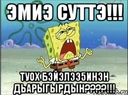 Эмиэ суттэ!!! Туох бэйэлээ5инэн дьарыгырдын????!!!, Мем Спанч Боб плачет