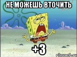 Не можешь вточить +3, Мем Спанч Боб плачет