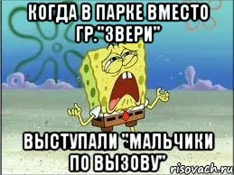 когда в парке вместо гр."Звери" выступали "Мальчики по Вызову", Мем Спанч Боб плачет