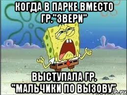 когда в парке вместо гр."Звери" выступала гр. "Мальчики по Вызову", Мем Спанч Боб плачет