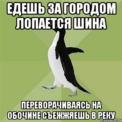 Едешь за городом лопается шина Переворачиваясь на обочине съежжяешь в реку, Мем  Среднестатистический пингвин