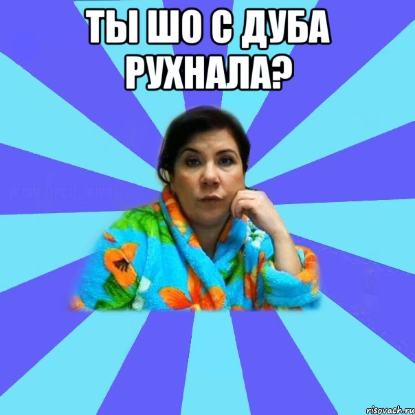 Ты шо с дуба рухнала? , Мем типичная мама