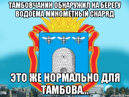 Тамбовчанин обнаружил на берегу водоёма миномётный снаряд Это же нормально для Тамбова...