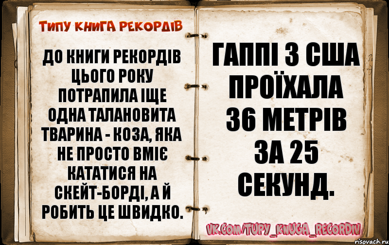 До книги рекордів цього року потрапила іще одна талановита тварина - коза, яка не просто вміє кататися на скейт-борді, а й робить це швидко. Гаппі з США проїхала 36 метрів за 25 секунд., Комикс  Типу книга рекордв