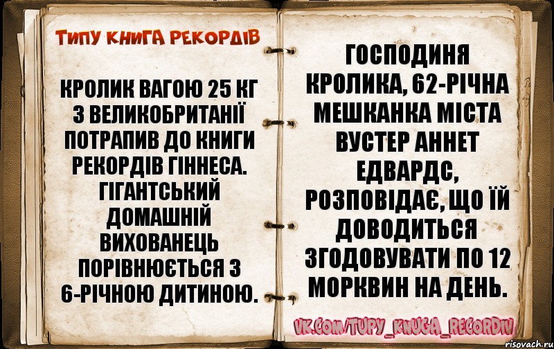 Кролик вагою 25 кг з Великобританії потрапив до Книги рекордів Гіннеса. Гігантський домашній вихованець порівнюється з 6-річною дитиною. Господиня кролика, 62-річна мешканка міста Вустер Аннет Едвардс, розповідає, що їй доводиться згодовувати по 12 морквин на день.