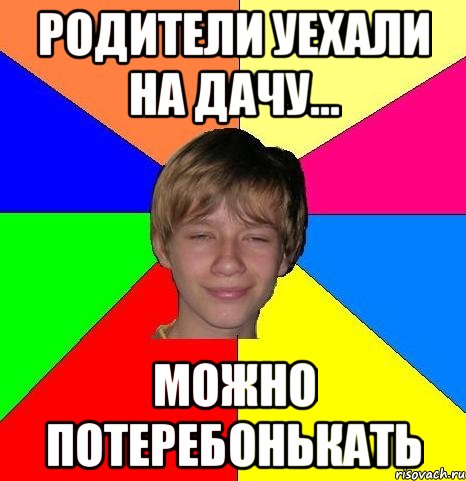 Отец уехал. Родители уехали. Когда родители уехали на дачу. Родители уехали на дачу Мем. Родители на даче Мем.