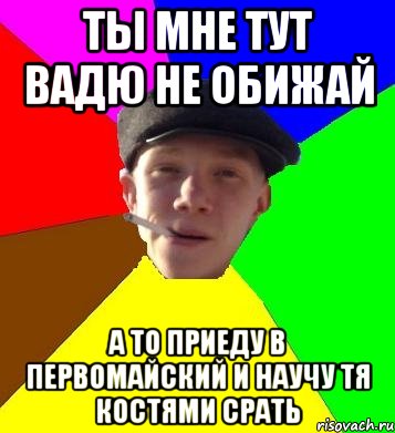 ты мне тут Вадю не обижай а то приеду в Первомайский и научу тя костями срать, Мем умный гопник