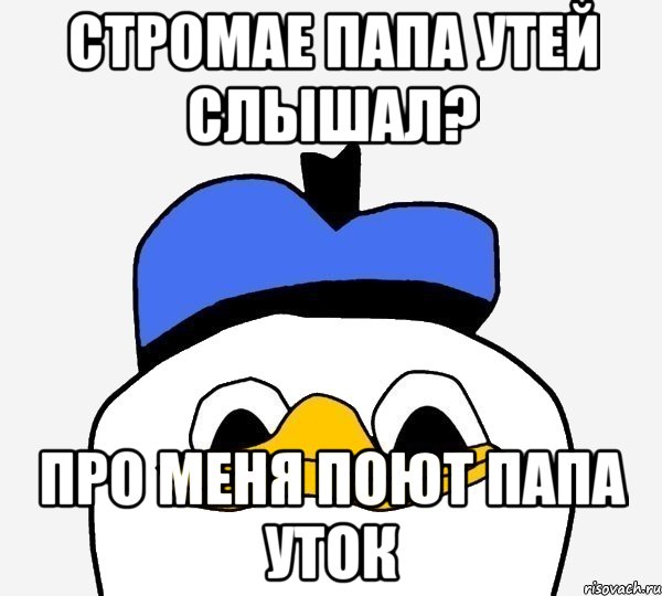 стромае папа утей слышал? про меня поют папа уток, Мем Утка