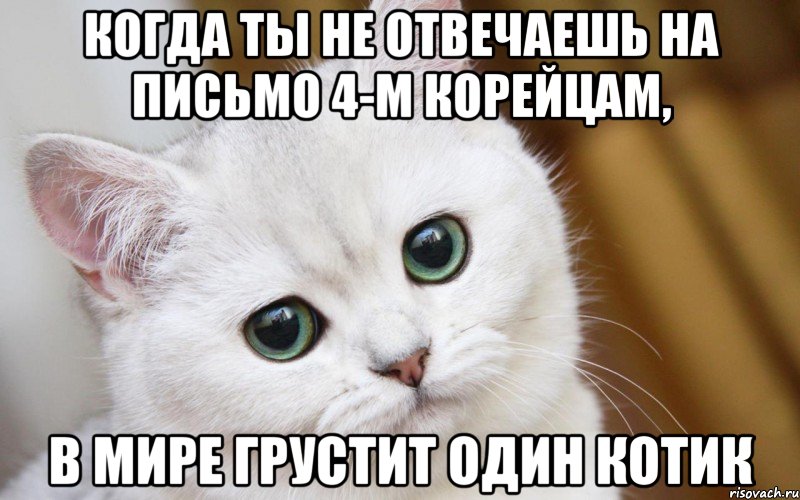 Когда ты не отвечаешь на письмо 4-м корейцам, в мире грустит один котик, Мем  В мире грустит один котик